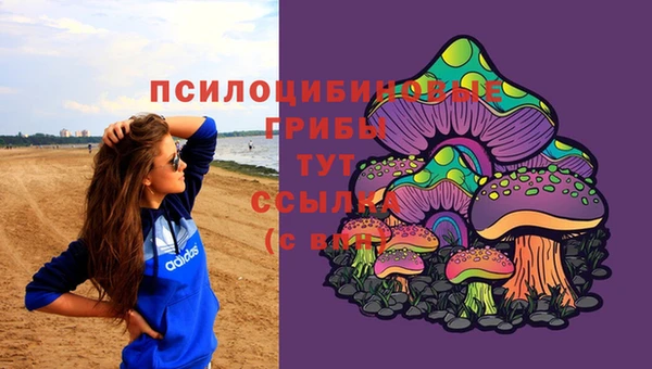 мяу мяу мука Беломорск